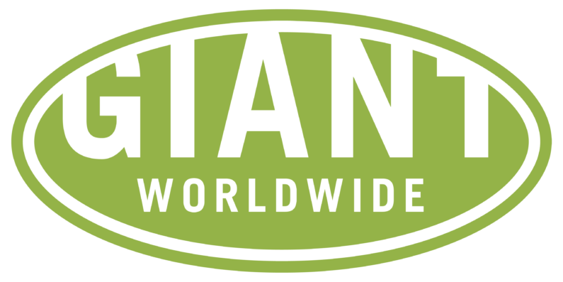 Testronic and Giant Interactive Rebrand as Giant Worldwide